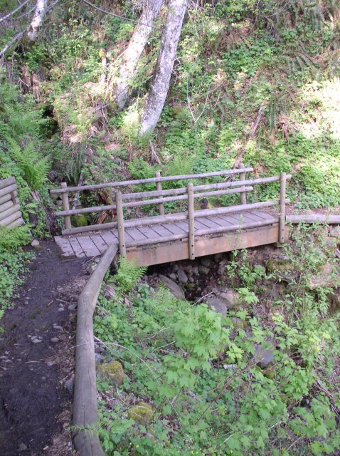 4.30.06 Hamilton Mountain 100 